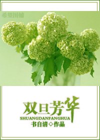 《双旦芳华GL》